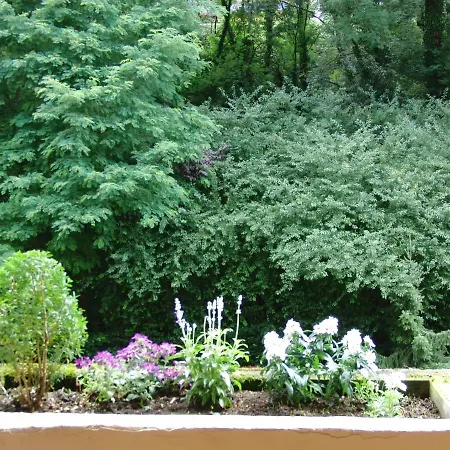 Appartementhaus Im Gruen *