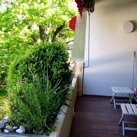Apartment Appartementhaus Im Grün Bad Bellingen